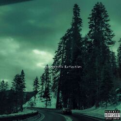 Cover of Apocalypstic Reflection