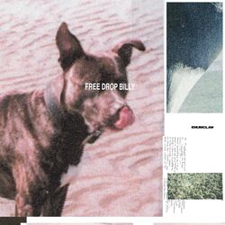Cover of Free Drop Billy