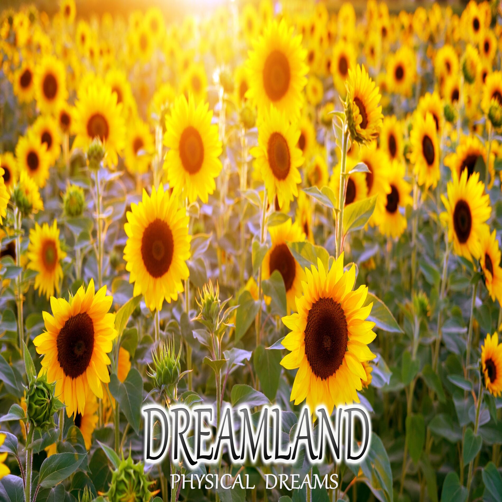 Album cover of Dreamland