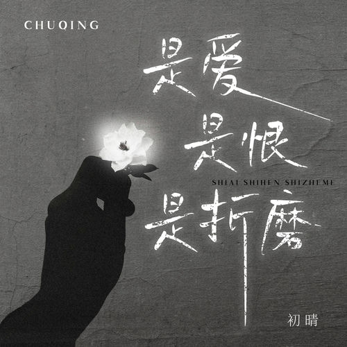 是爱是恨是折磨
