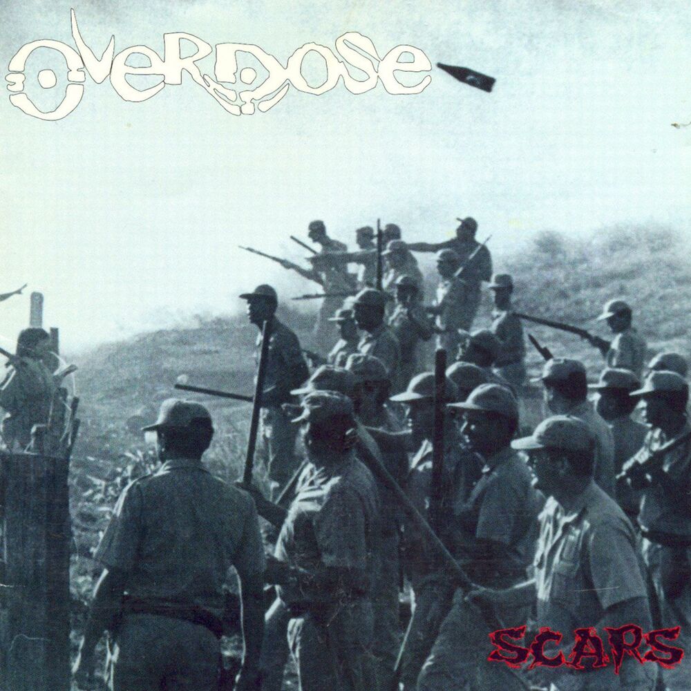 Picture of Scars