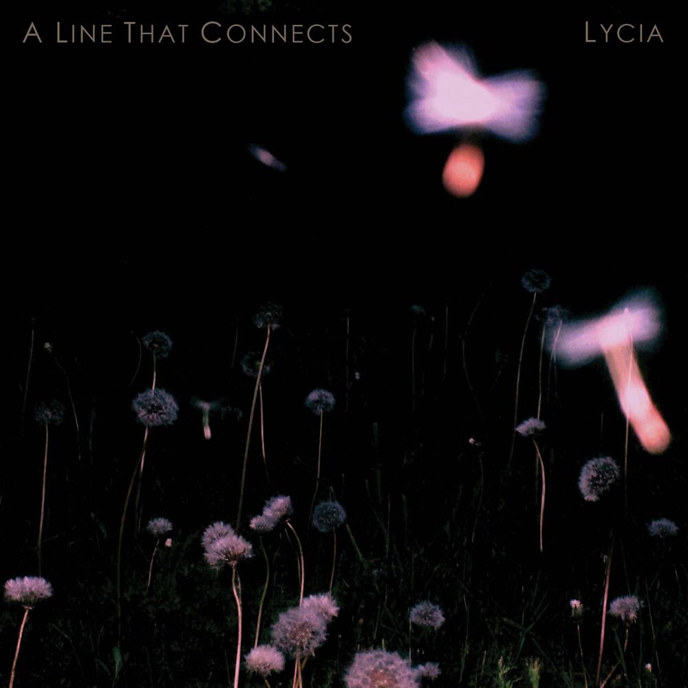 Picture of A Line That Connects