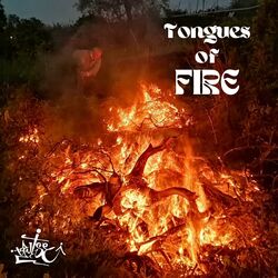 Cover of Tongues of Fire