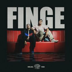 Cover of Finge