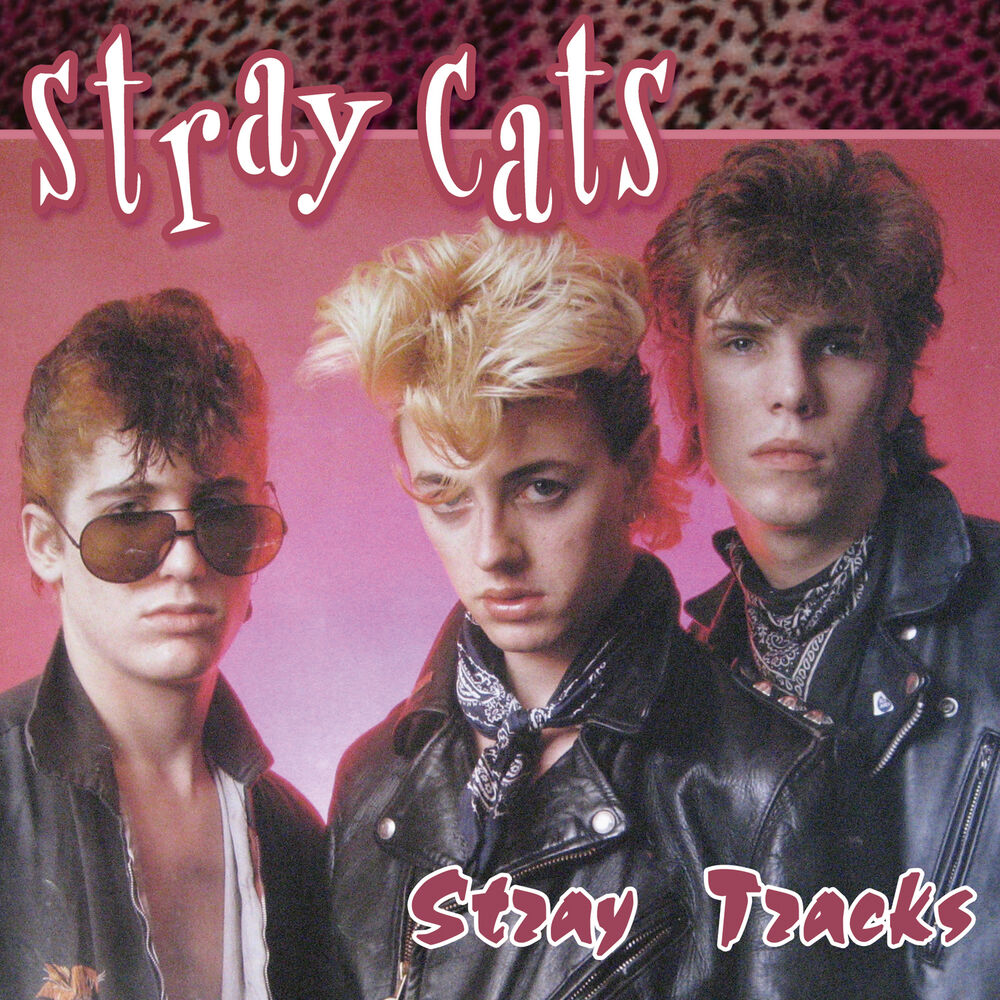 Picture of Stray Tracks