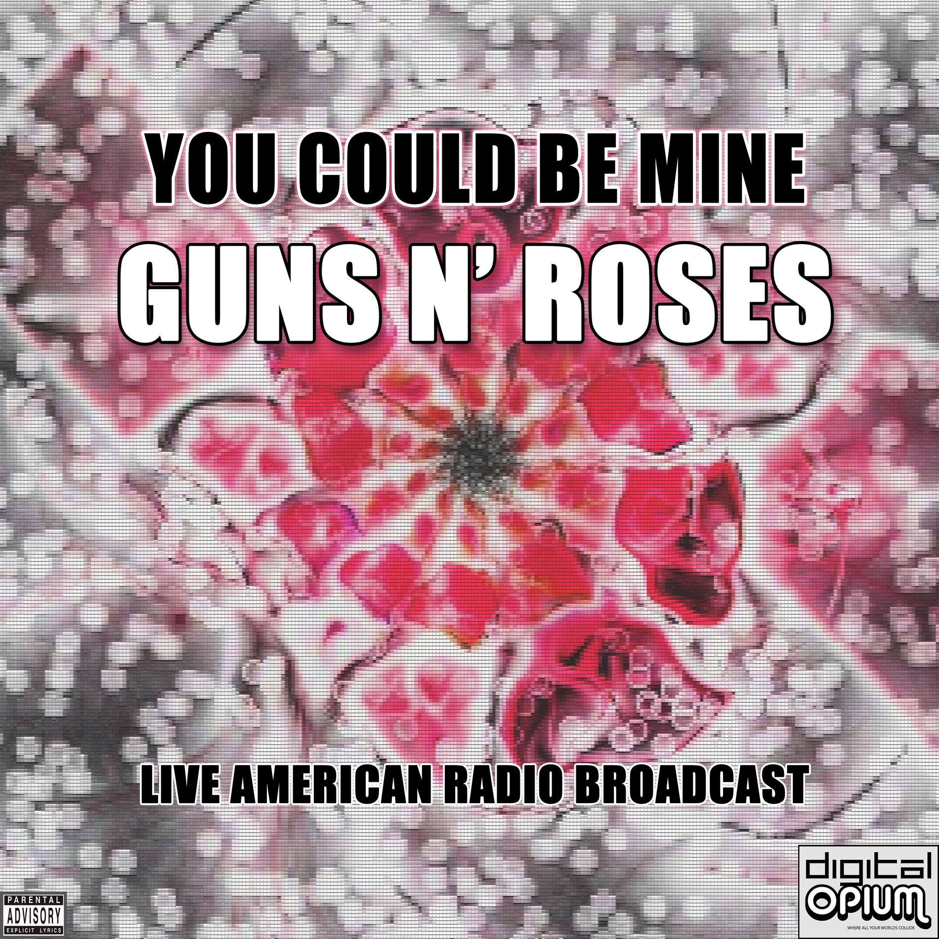 Album cover of You Could Be Mine (Live)