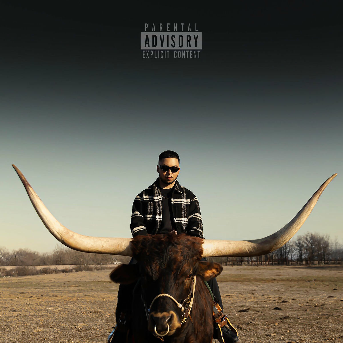 Album cover of Worth