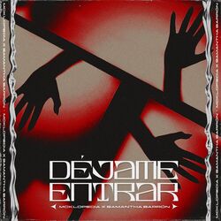 Cover of Déjame Entrar