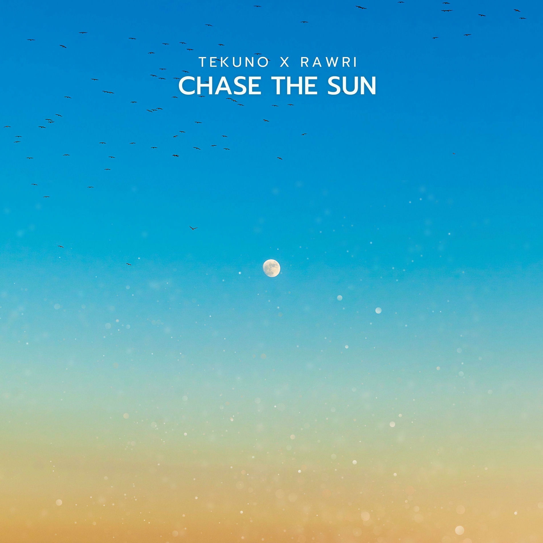 Album cover of Chase the sun