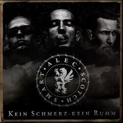 Cover of Kein Schmerz - Kein Ruhm