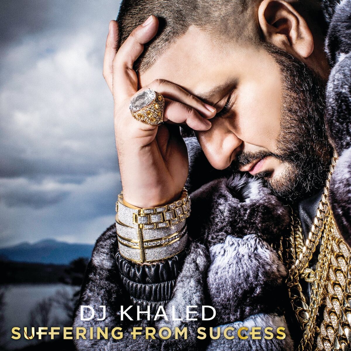 Album cover of Suffering From Success