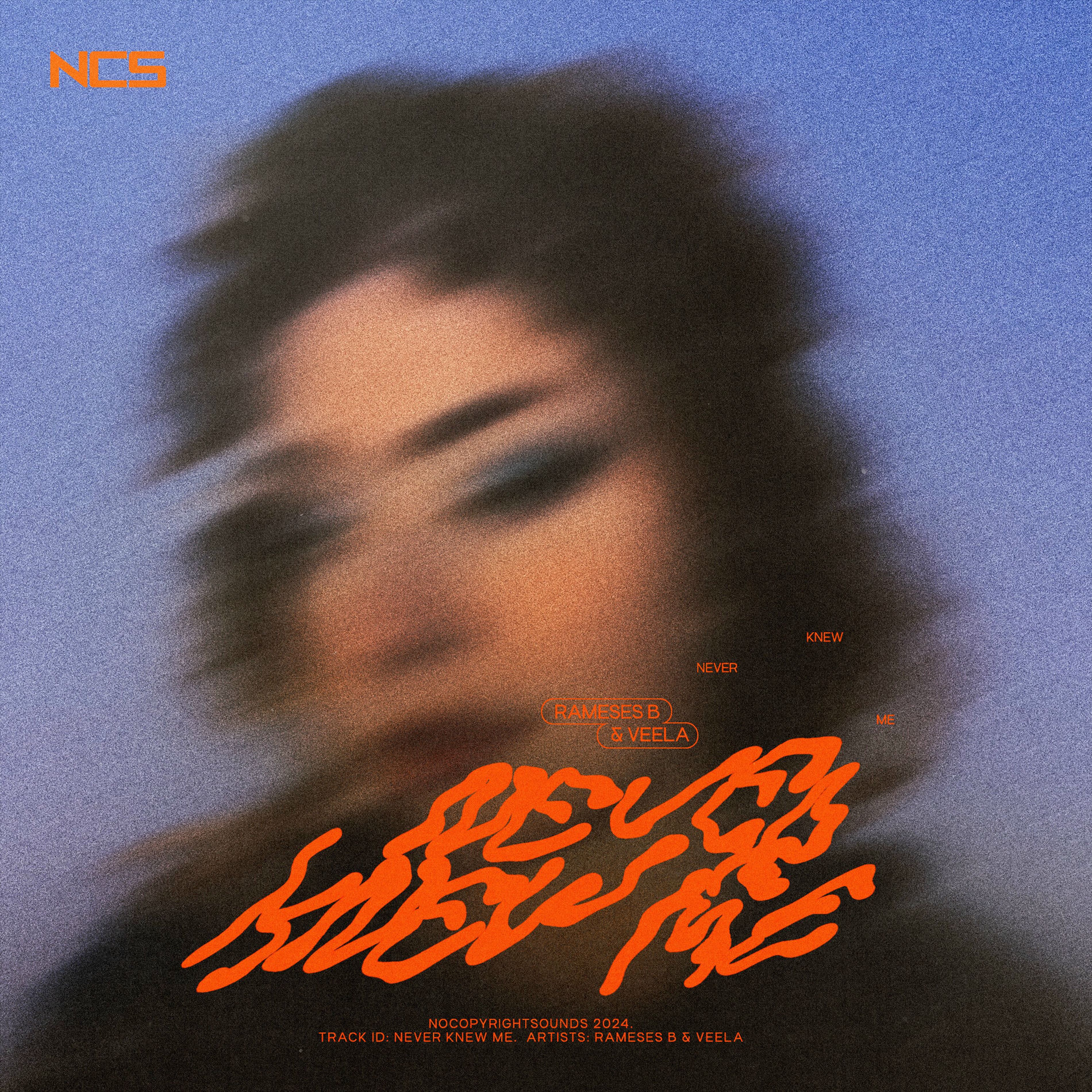 Album cover of Never Knew Me