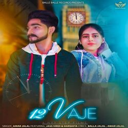 Cover of 12 Vaje