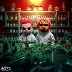 Cover of Medicina