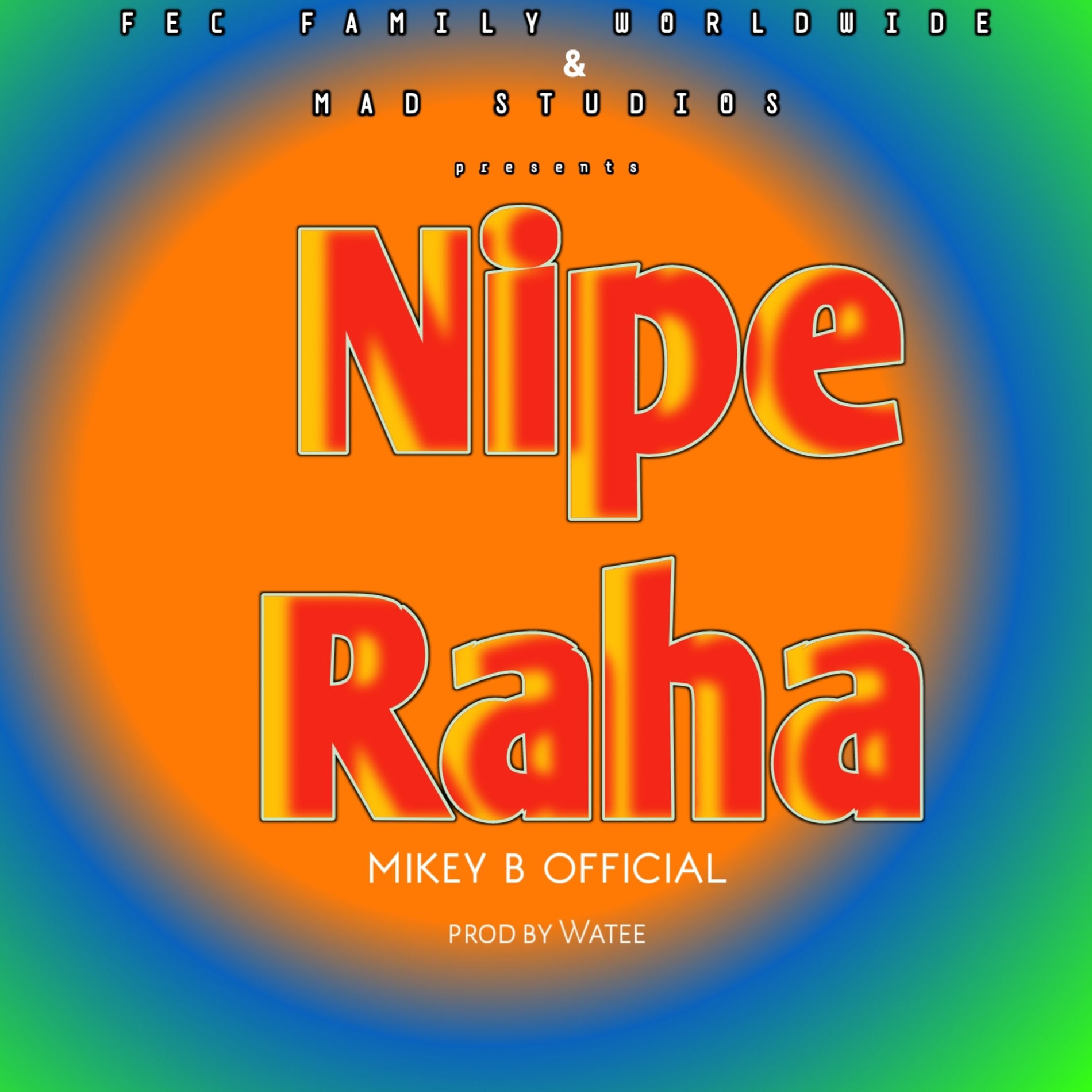 Album cover of Nipe Raha