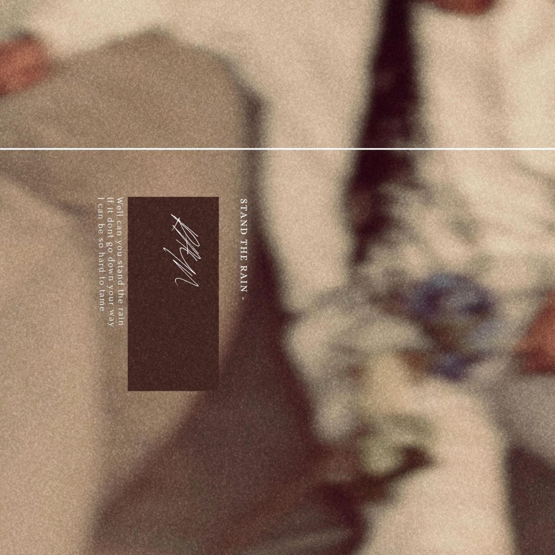 Album cover of stand the rain