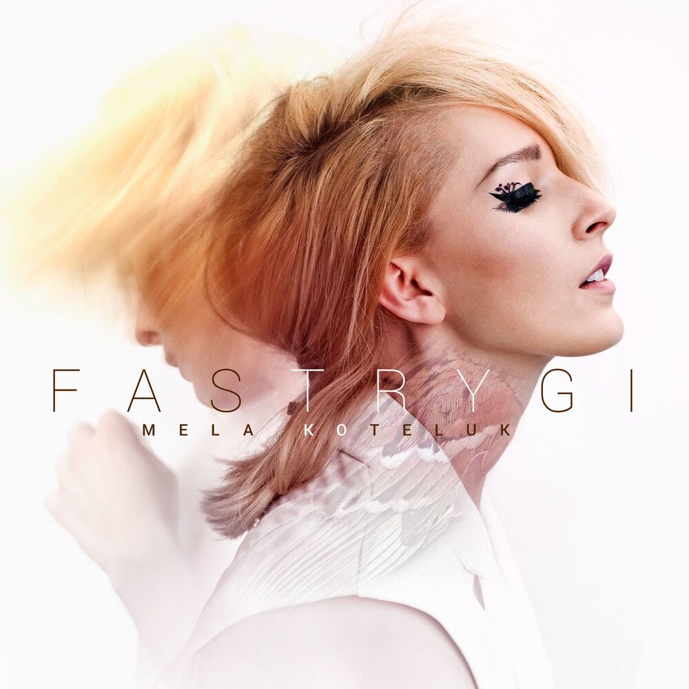 Picture of Fastrygi