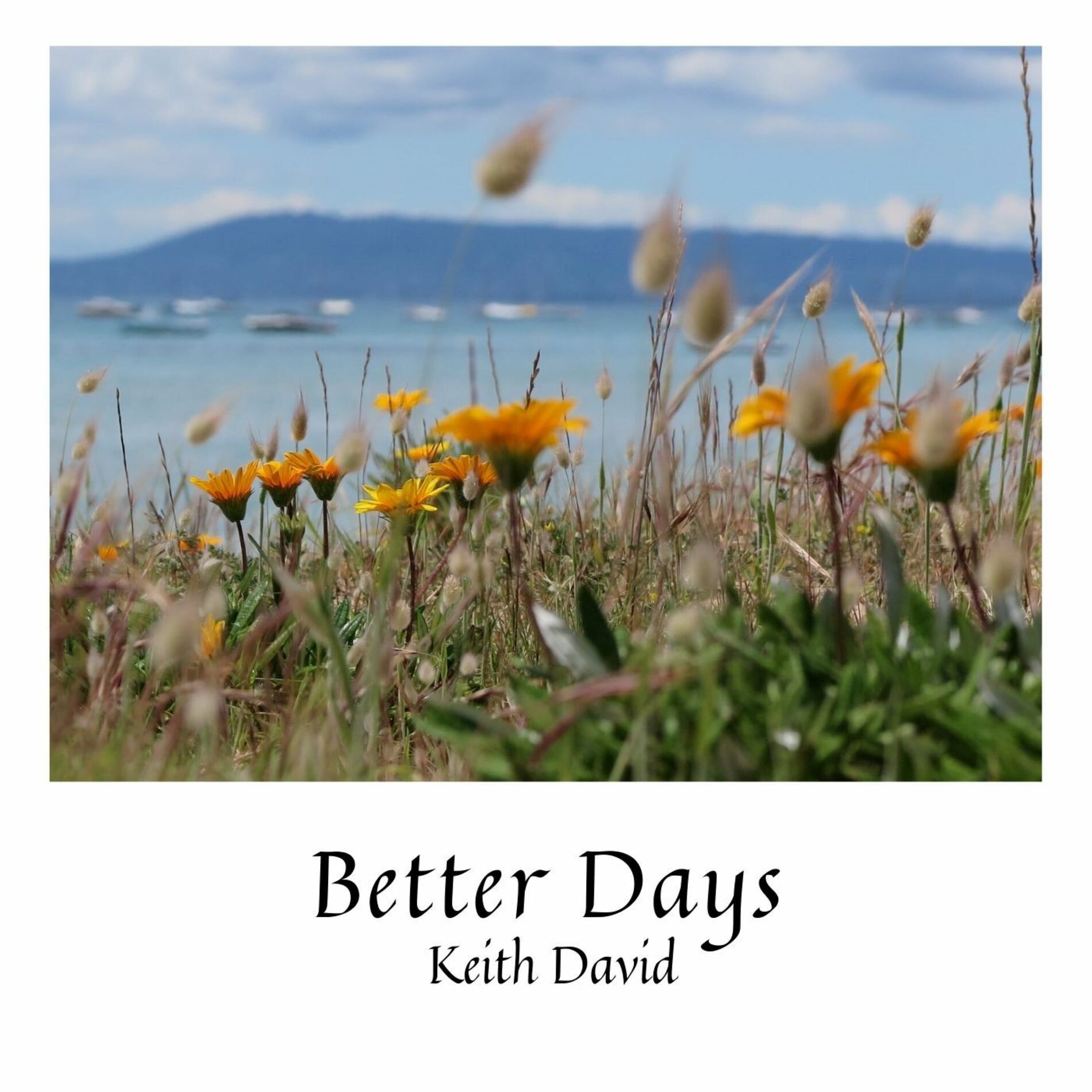 Album cover of Better Days