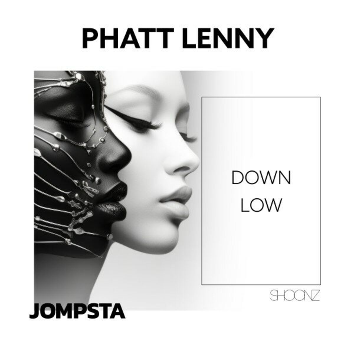 Album cover of Down Low