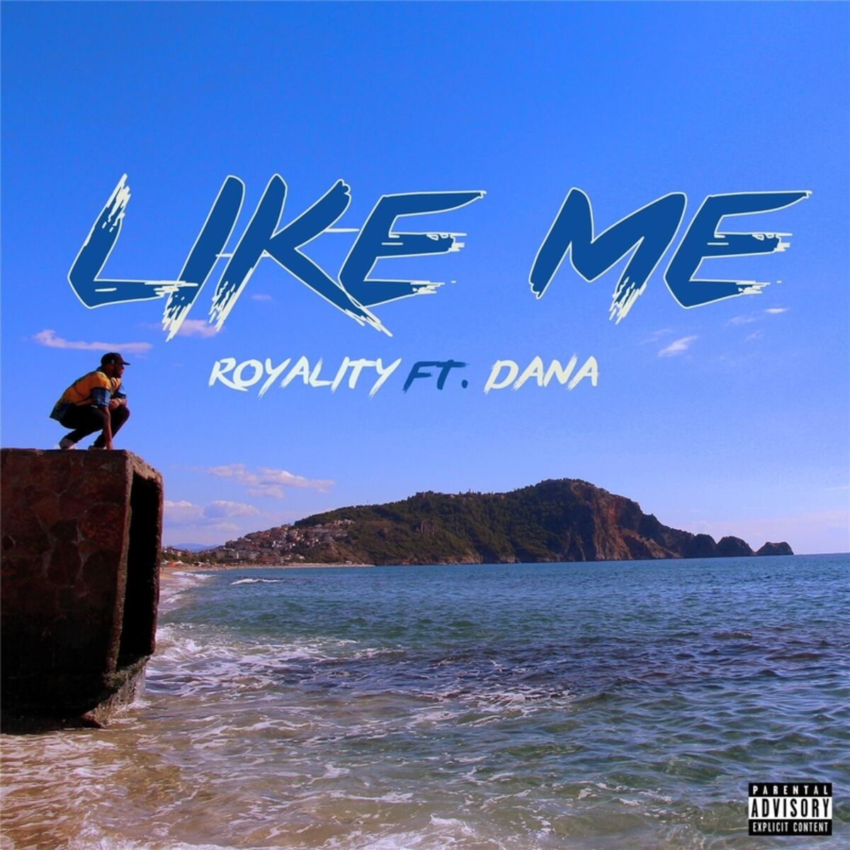 Album cover of Like Me