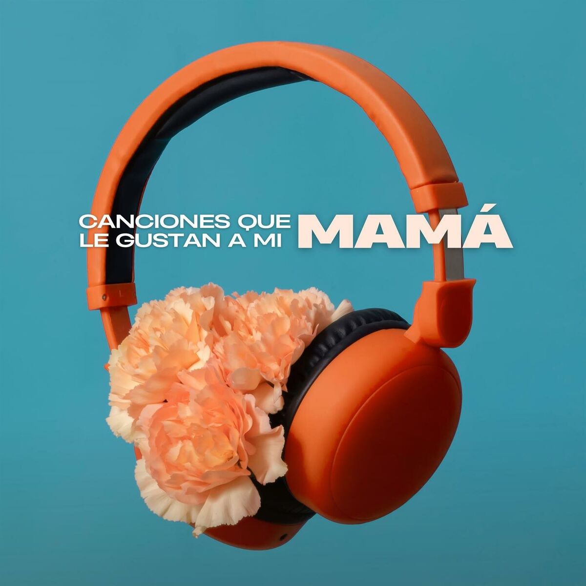 Album cover of Canciones que le gustan a mi mamá