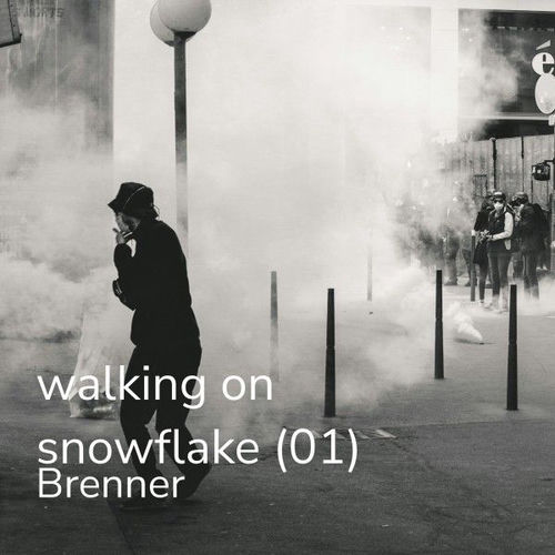 Walking on Snowflake (01)
