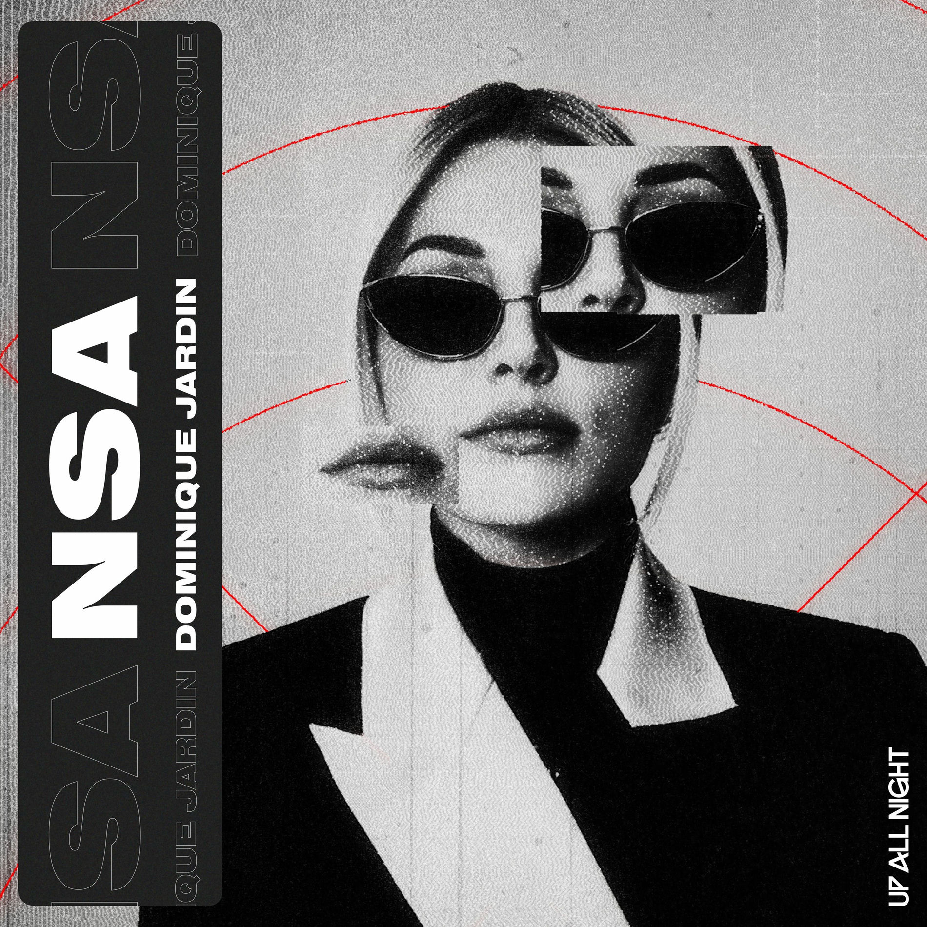 Album cover of NSA