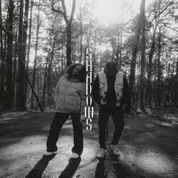 Cover of Shadows