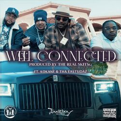 Cover of Well Connected