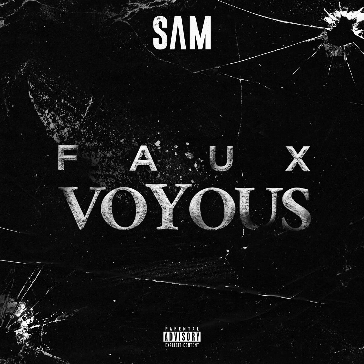 Album cover of Faux voyous