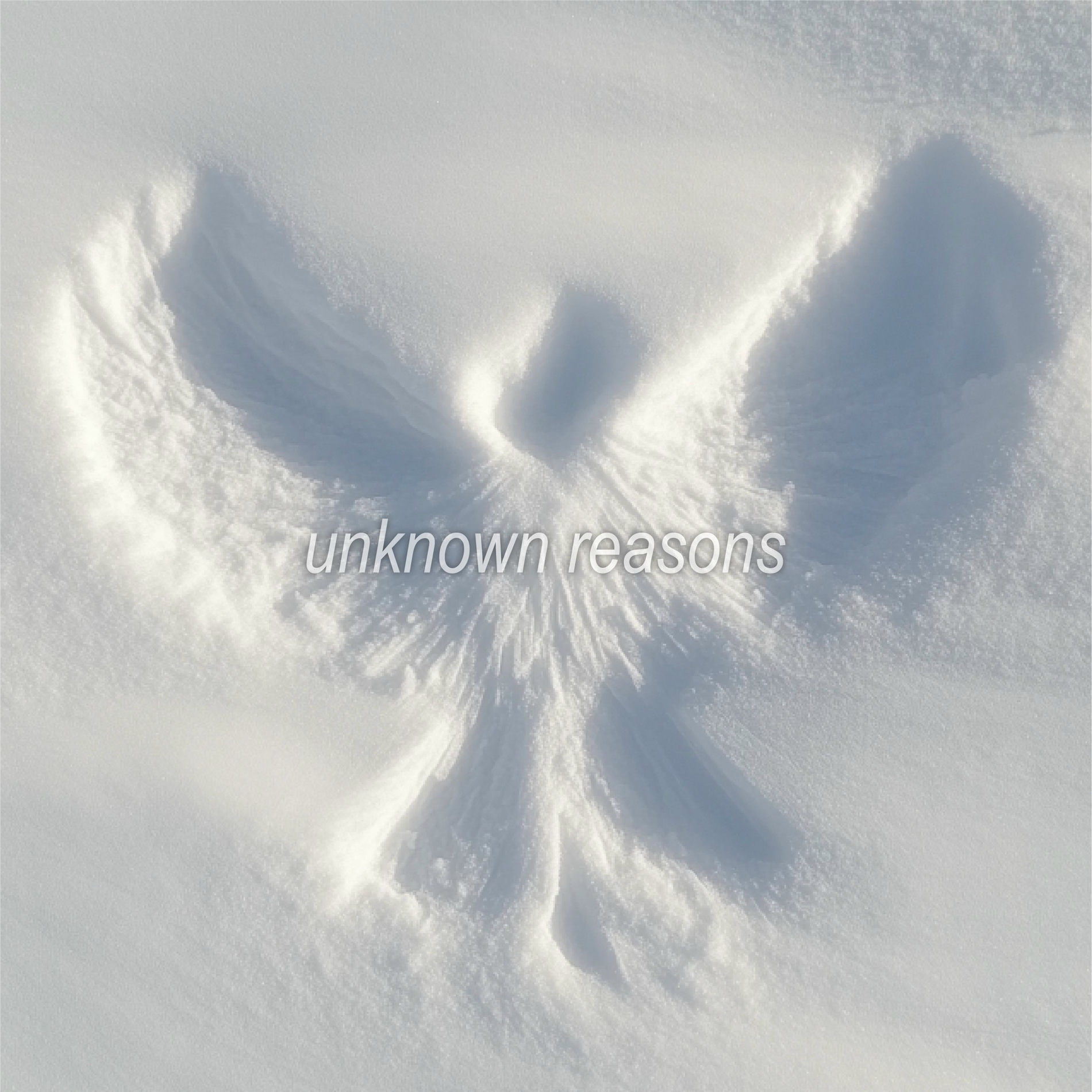 Album cover of touch grass