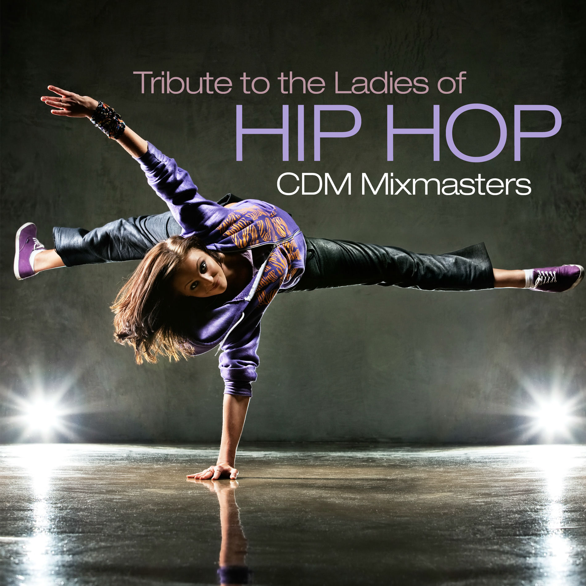 Album cover of Tribute to the Ladies of Hip Hop