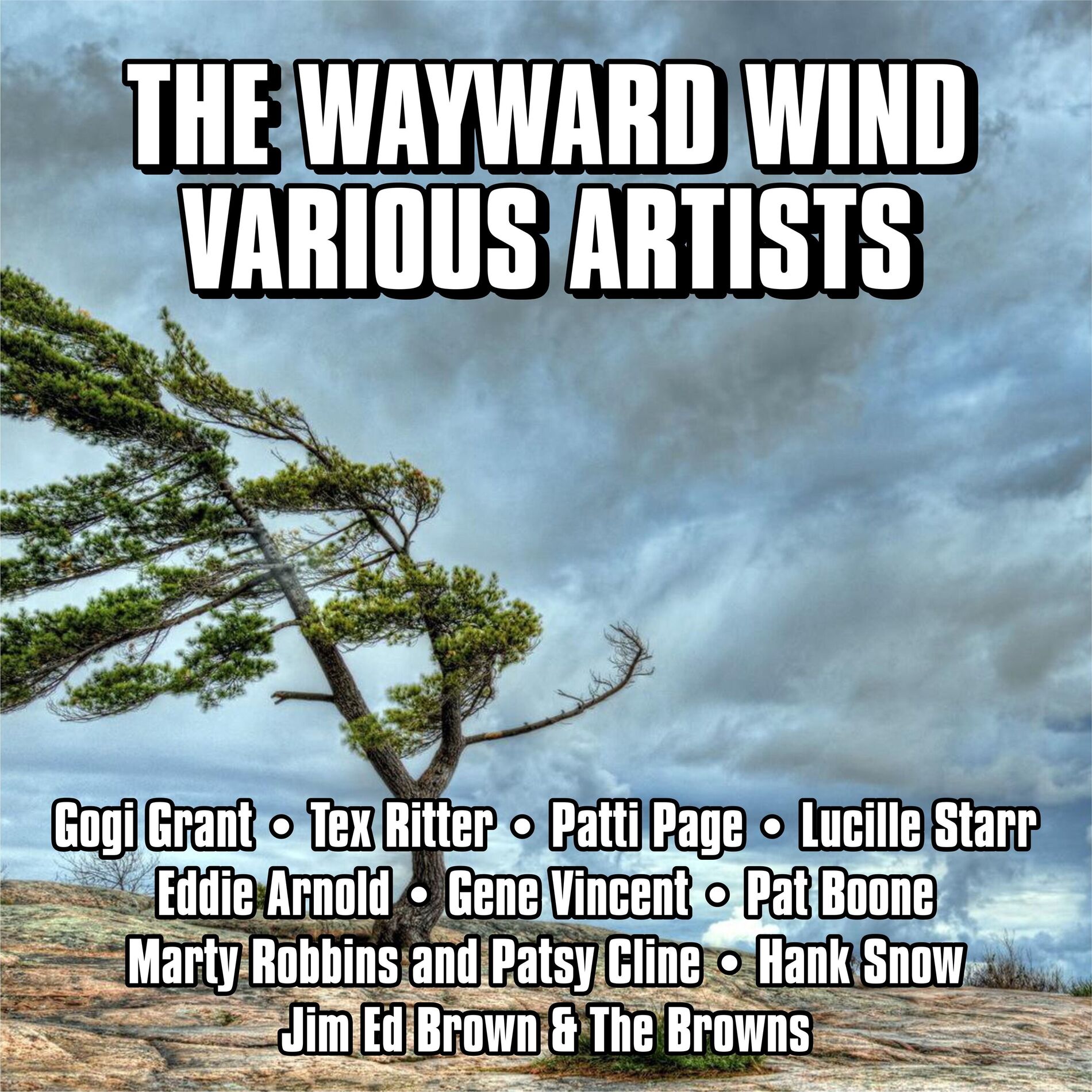 Album cover of The Wayward Wind