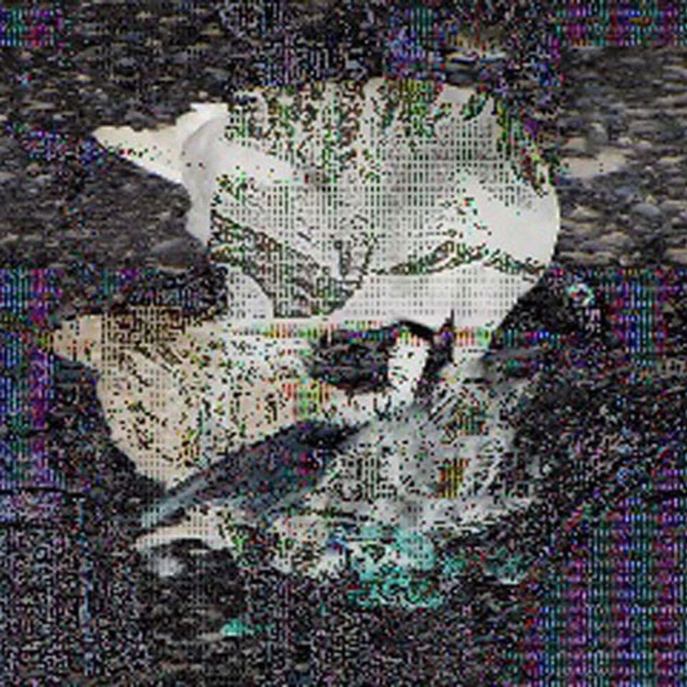 Picture of Full Moon (Death Classic)