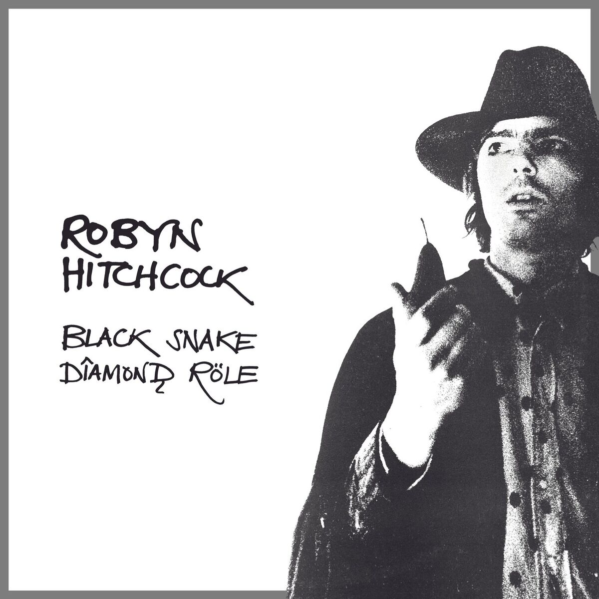Album cover of Black Snake Diamond Röle