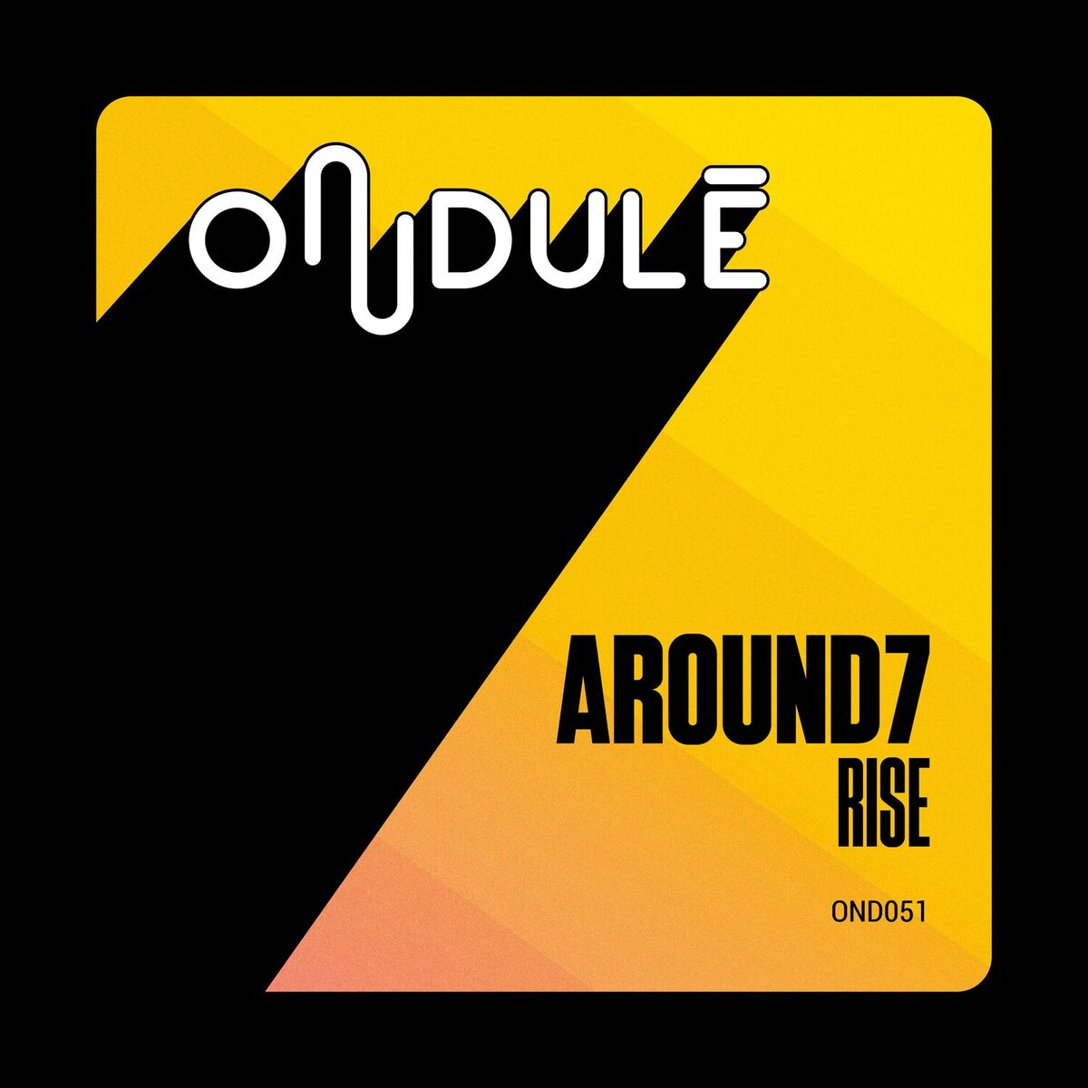 Album cover of Rise