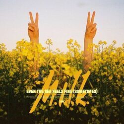 Cover of Even the Sea Feels Fine (Sometimes)