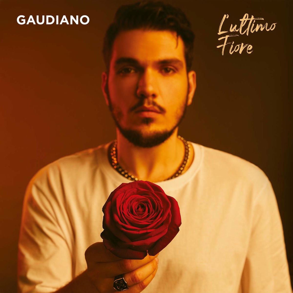 Album cover of POLVERE DA SPARO