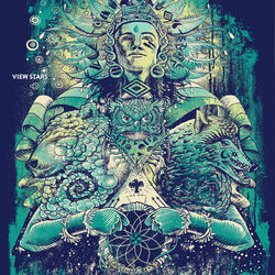 Cover of View Stars