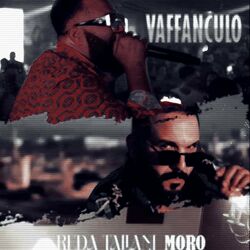 Cover of Vaffanculo