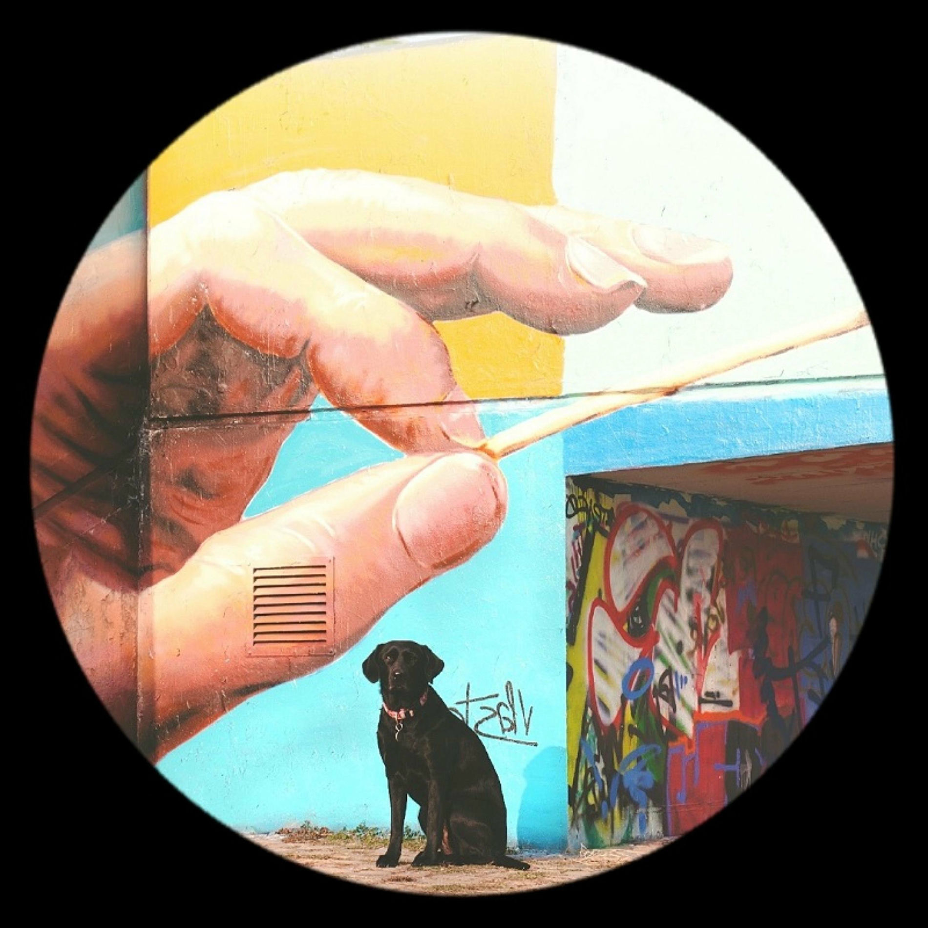 Album cover of Dogma