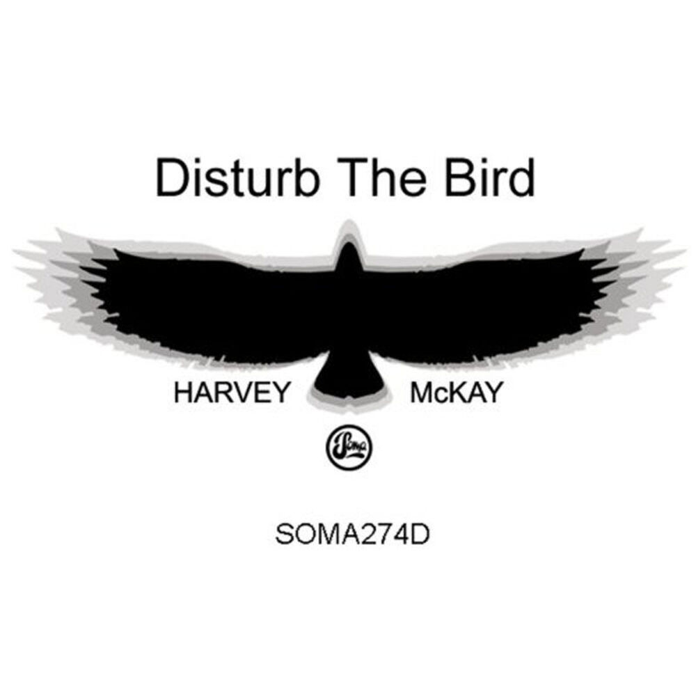 Picture of Disturb the Bird