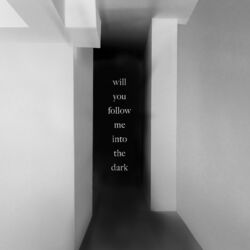 Cover of Will You Follow Me Into the Dark