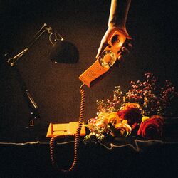 Cover of Coup de fil