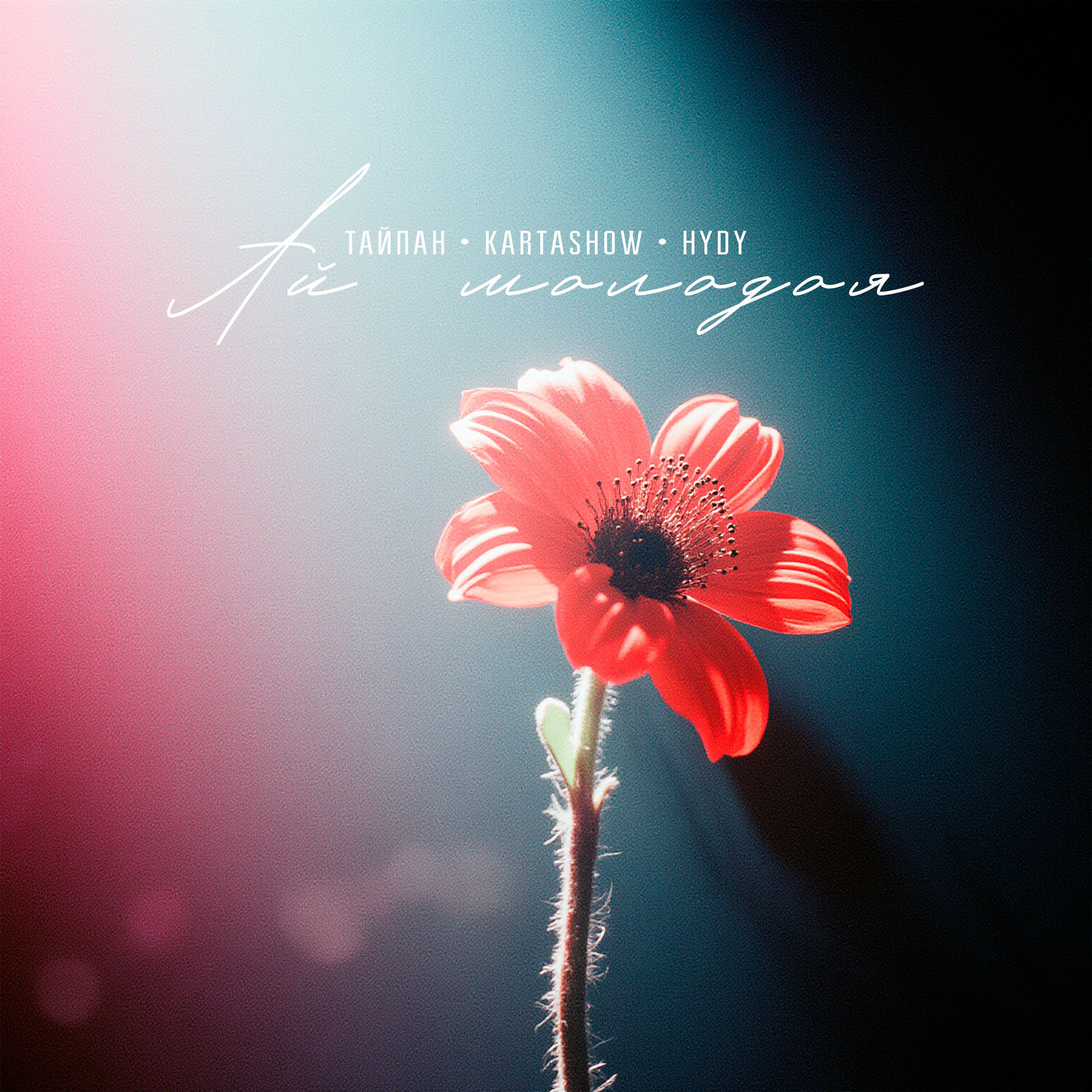 Album cover of Ай молодая