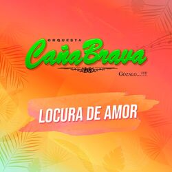 Cover of Locura de Amor