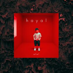 Cover of hayal