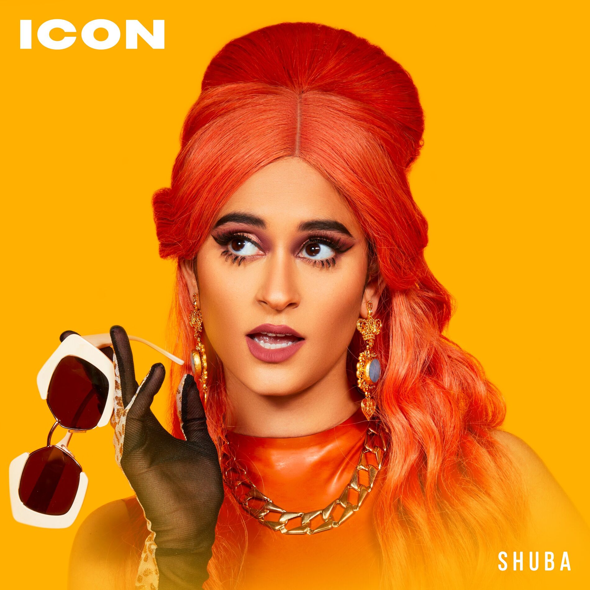 Album cover of Icon