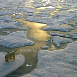 Cover of Norduris