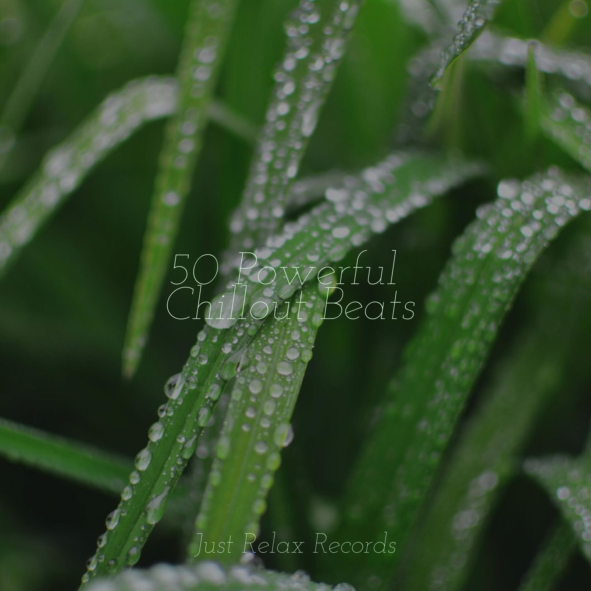 Album cover of 50 Powerful Chillout Beats